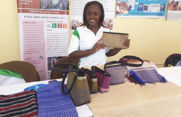 Why Sustainability Makes Good Business Sense: Success stories from Africa